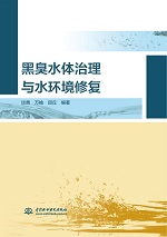 黑臭水體治理和水環(huán)境修復(fù)