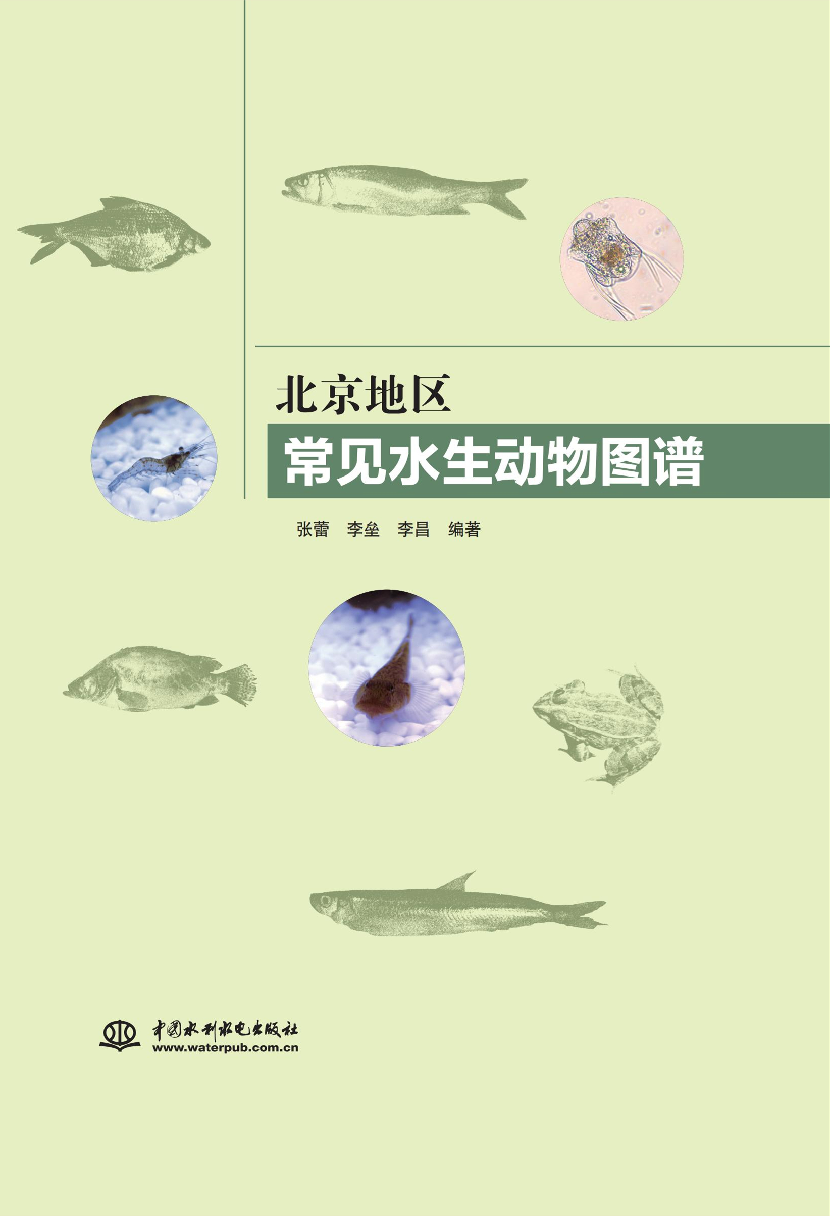 北京地區(qū)常見水生動物圖譜