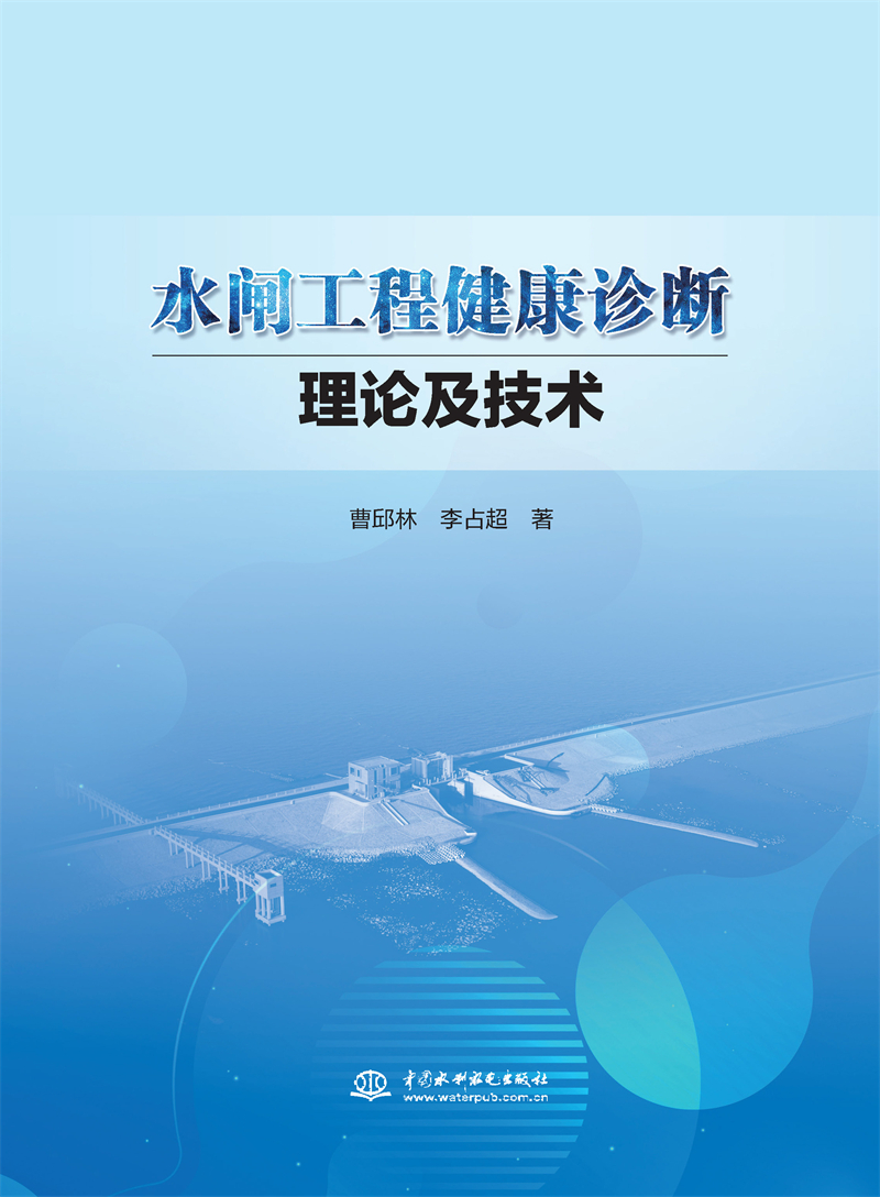 水閘工程健康診斷理論及技術